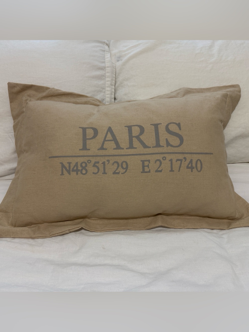 PARIS Accent Pillow in Taupe with Gray Print